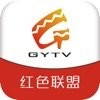 精彩高邑官网版