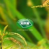 全民惠app