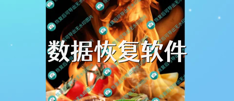 数据恢复软件