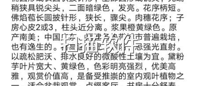 扫描软件