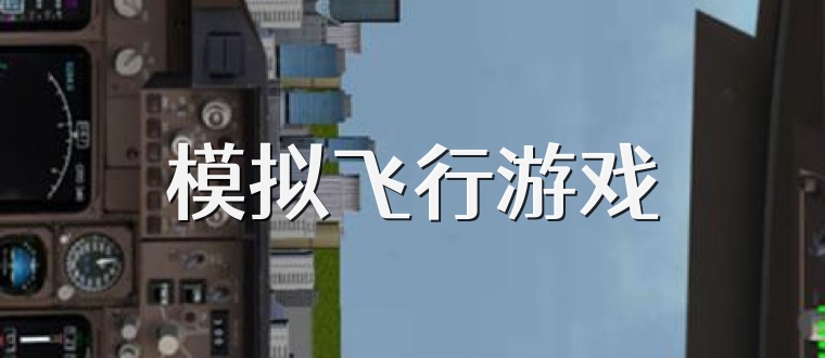 模拟飞行游戏