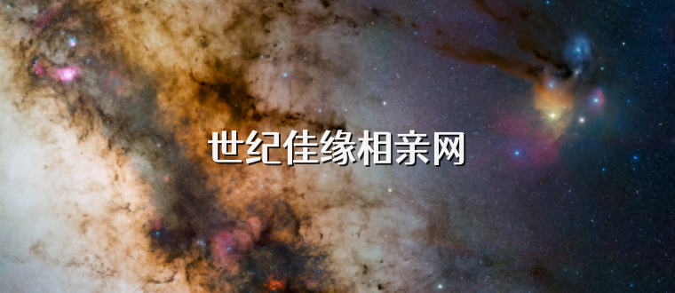 世纪佳缘相亲网