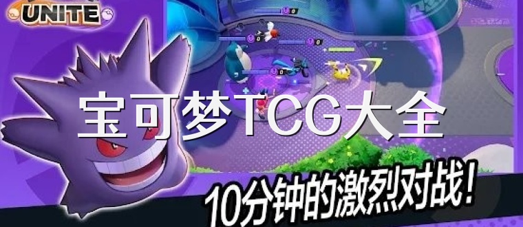 宝可梦TCG大全