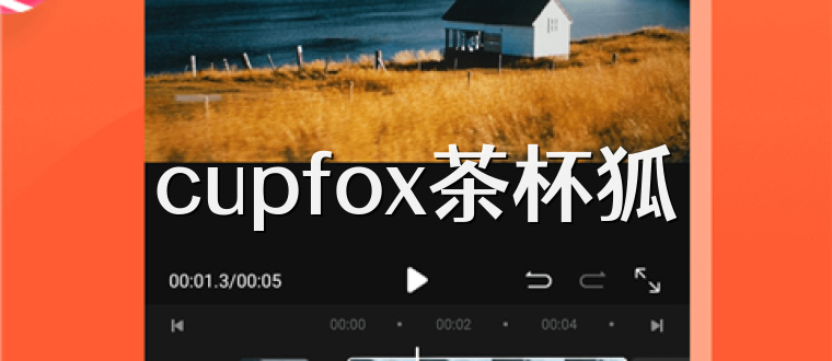 cupfox茶杯狐