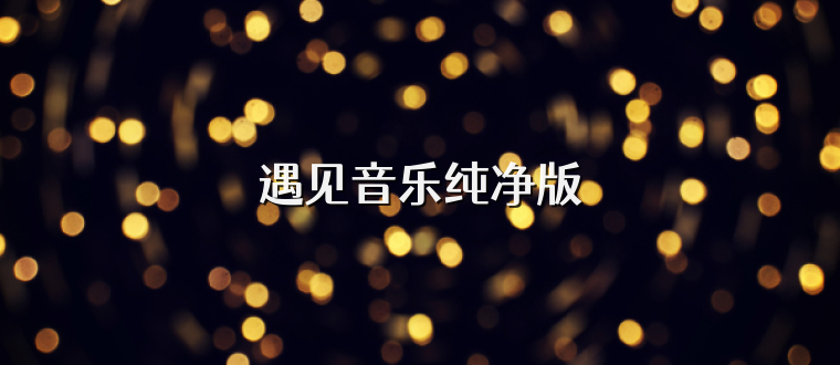 遇见音乐纯净版