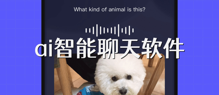 ai智能聊天软件
