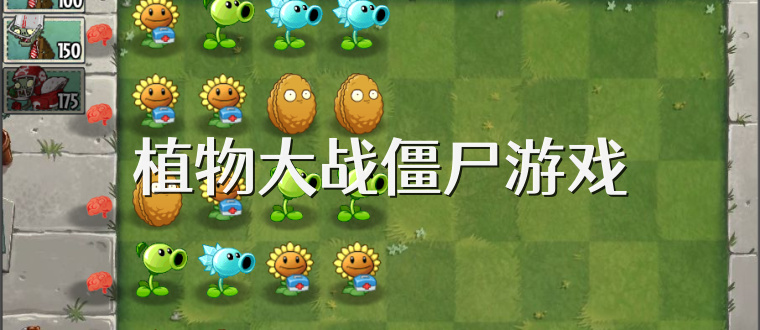 植物大战僵尸游戏