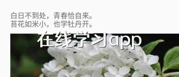 在线学习app