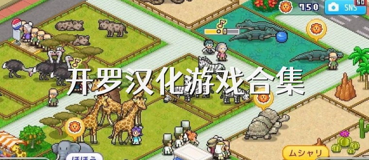 开罗汉化游戏合集