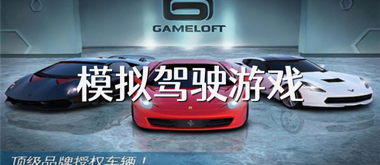 模拟驾驶游戏
