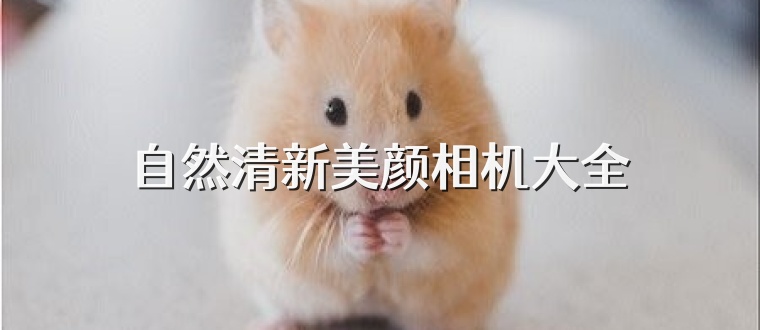 自然清新美颜相机大全