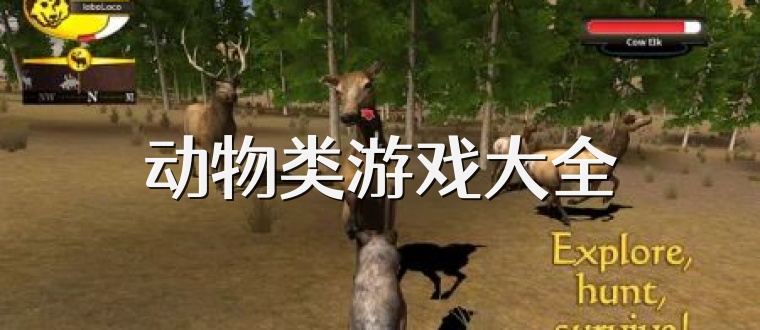 动物类游戏大全
