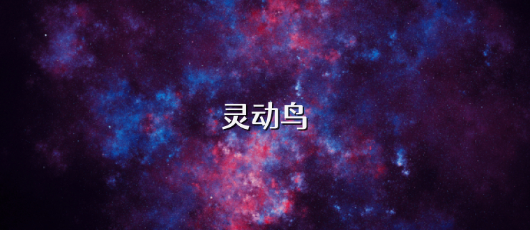 灵动鸟