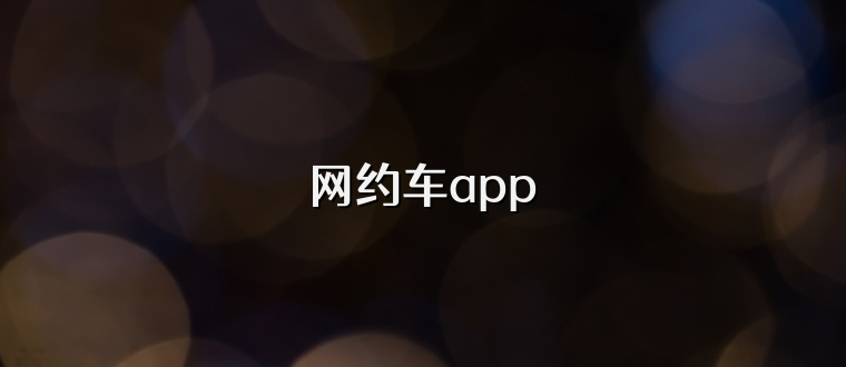 网约车app