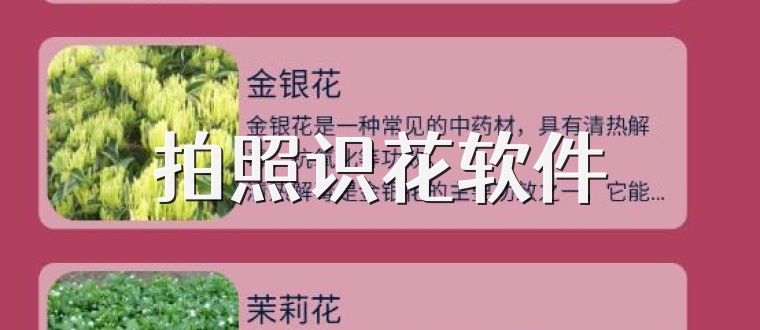 拍照识花软件