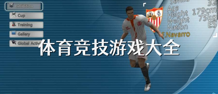 体育竞技游戏大全
