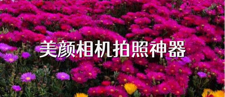 美颜相机拍照神器