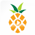 菠萝音乐app