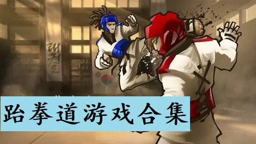 跆拳道游戏合集