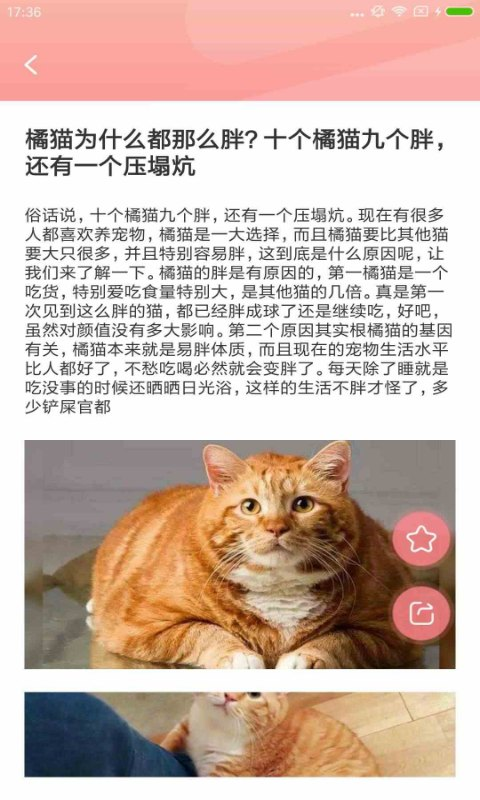 宠物公社APP 1