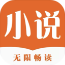 久久小说旧版