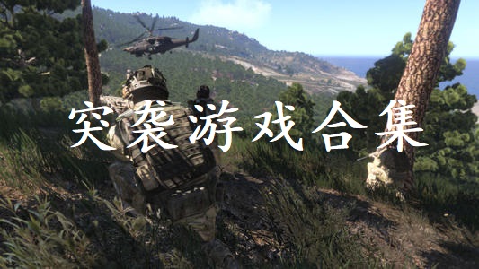 突袭游戏合集
