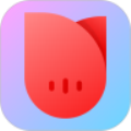 ‍‍一花交友app