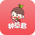 种草君