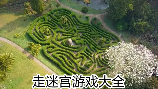 走迷宫游戏大全