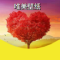 ks壁纸app