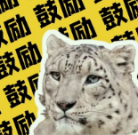 雪豹闭嘴盒