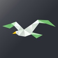 ClassIn互动教室app