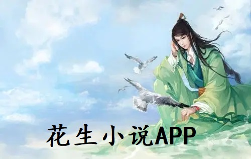 花生小说APP